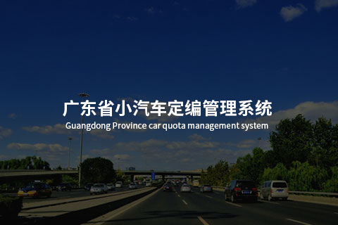 小汽车定编办公室 - 定编管理系统