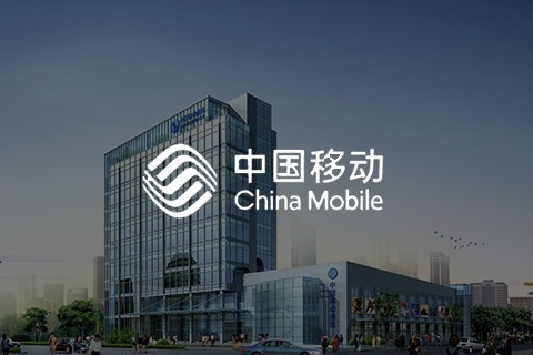 中国移动 - 生命周期流程管理系统
