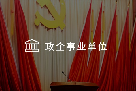 政企事业单位 - 党建系统解决方案