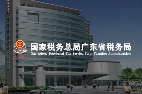 广东省税务局-业务保障平台流程支撑项目