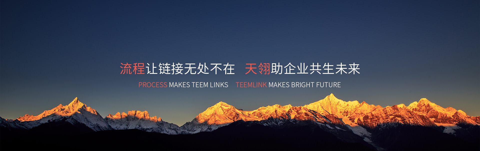 BPM流程管理软件